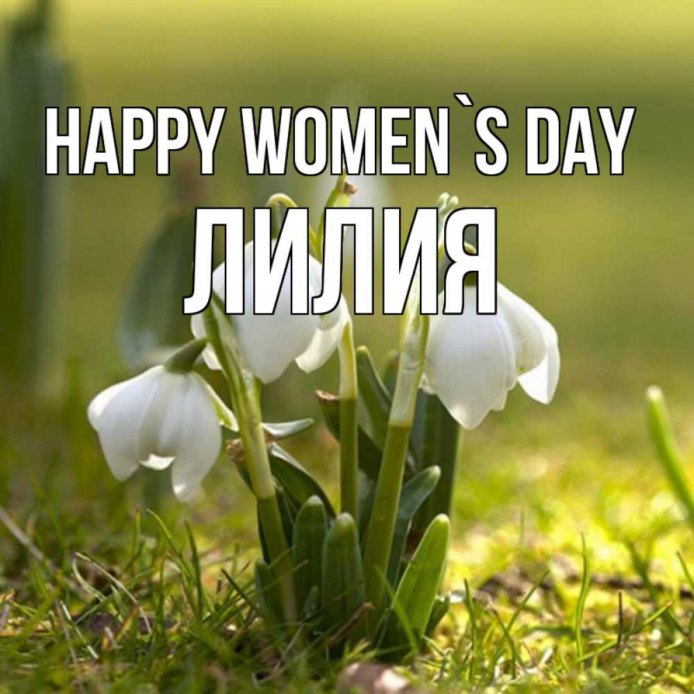 Greetings card с именем, Лилия happy women`s day ранние цветы 2 Greetings with text for free download 